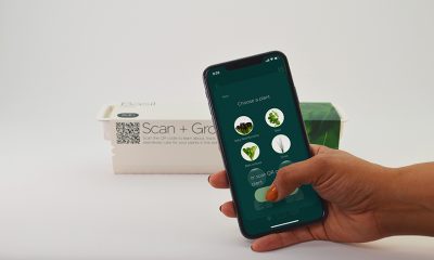 Sustainable Packaging