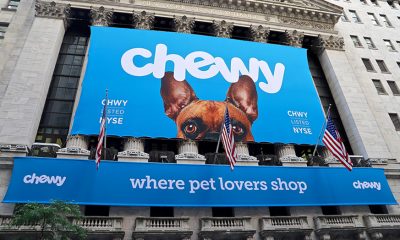 Big Growth Ahead for Global Pet Care Ecommerce Market